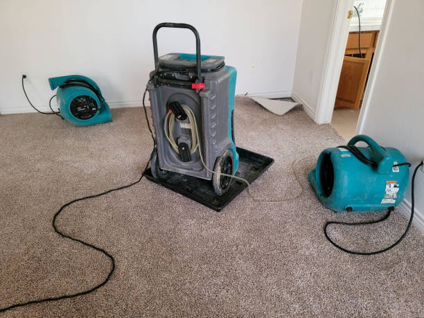 Best Water damage restoration mold remediation  in Pandora, OH