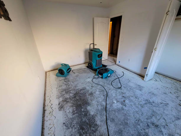 Water damage restoration insurance claims in Pandora, OH