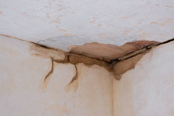 Best 24/7 water damage repair  in Pandora, OH