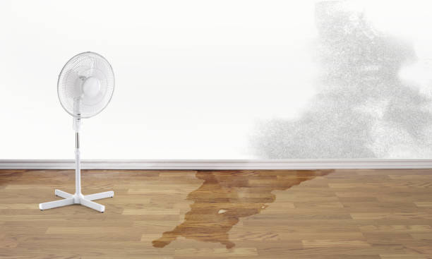 Best Water damage restoration process  in Pandora, OH