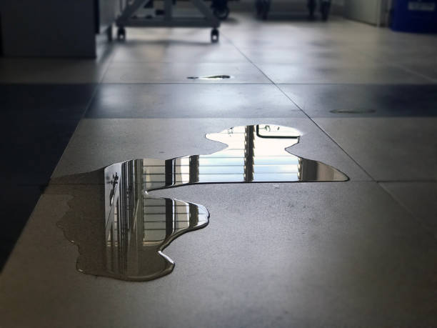 Best Water damage restoration near me  in Pandora, OH