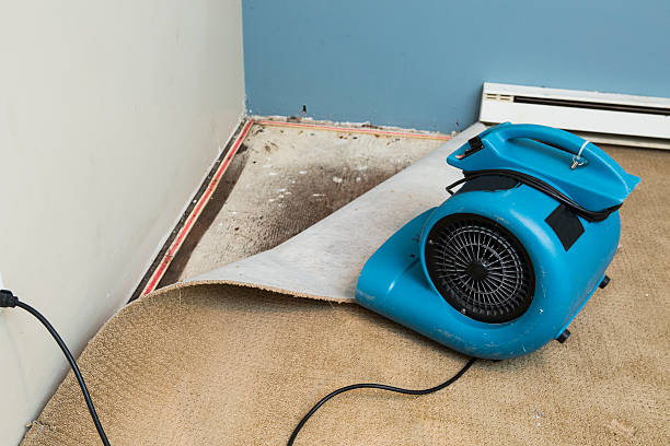 Water damage restoration mold remediation in Pandora, OH